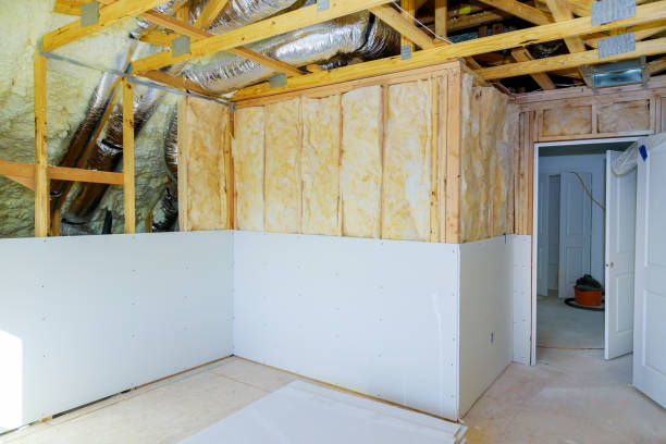 Best Eco-Friendly Insulation in , KS